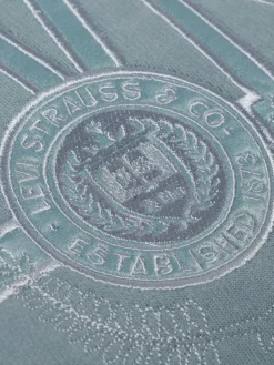 Levi's Sweatshirts & Sweatjacken<Damen Kapuzenpullover hellblau uni