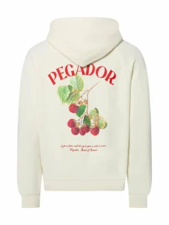Damen PEGADOR Sweatshirts & Sweatjacken>Damen Kapuzenpullover - Malli