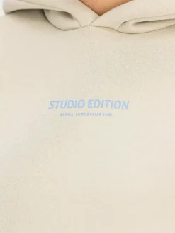 Alpha Industries Sweatshirts & Sweatjacken<Damen Kapuzensweatshirt beige uni