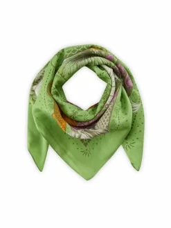 Damen Codello Schals & Tücher>Damen Tuch