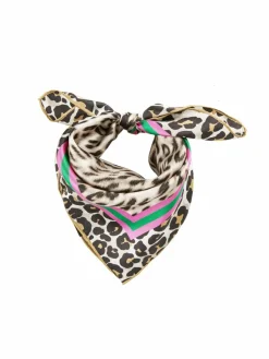 Damen Codello Schals & Tücher><noscript><img width=