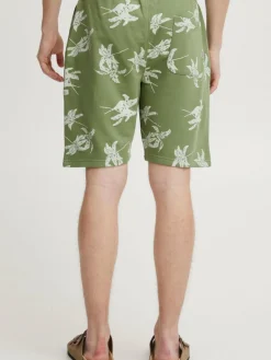 BLEND Hosen<Herren Chinoshorts grün uni