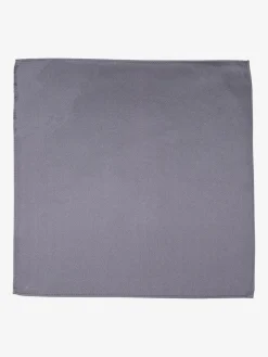 Roy Robson Krawatten & Fliegen<Herren Einstecktuch silber uni