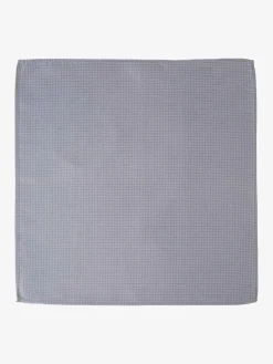 Roy Robson Krawatten & Fliegen<Herren Einstecktuch hellgrau uni