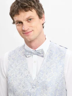 Digel Krawatten & Fliegen<Herren Fliege und Einstecktuch hellgrau royal gemustert