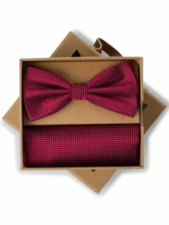 Finshley & Harding London Krawatten & Fliegen<Herren Fliege und Einstecktuch aus Seide bordeaux gepunktet