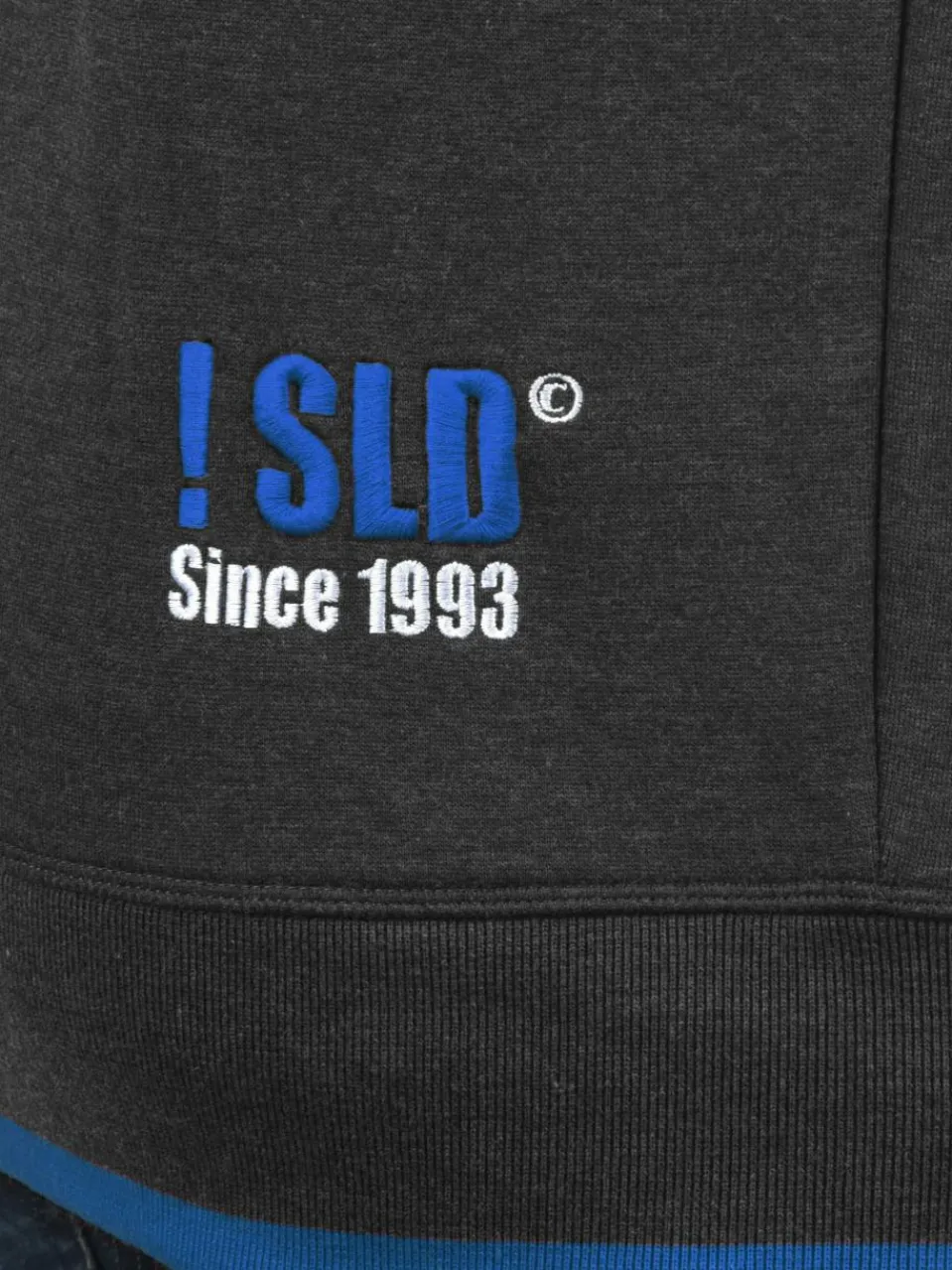 Solid Sweatshirts & Sweatjacken<Herren Kapuzensweatjacke - SDBenjaminZip mehrfarbig uni