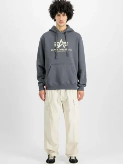 Alpha Industries Sweatshirts & Sweatjacken<Herren Kapuzensweatshirt grau bedruckt