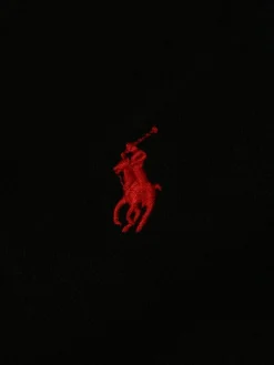 Herren Polo Ralph Lauren Poloshirts><noscript><img width=