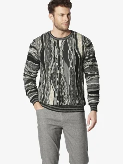 BABISTA Pullover & Strickjacken<Herren Pullover - FABISANTO grau bedruckt