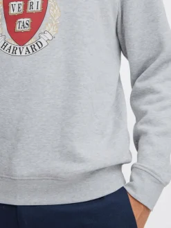 Herren BLEND Sweatshirts & Sweatjacken><noscript><img width=