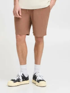 Solid Hosen<Herren Shorts - SDAurelius braun uni