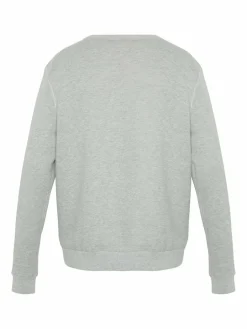 Chiemsee Sweatshirts & Sweatjacken<Herren Sweater grau uni