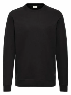Solid Sweatshirts & Sweatjacken<Herren Sweater - SDAULA schwarz uni