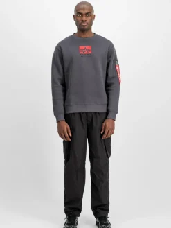 Alpha Industries Sweatshirts & Sweatjacken<Herren Sweatshirt grau uni