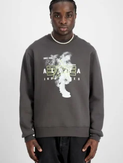 Alpha Industries Sweatshirts & Sweatjacken<Herren Sweatshirt grau bedruckt