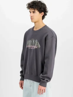 Alpha Industries Sweatshirts & Sweatjacken<Herren Sweatshirt grau bedruckt