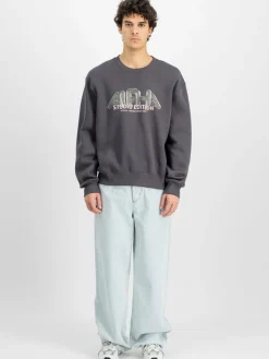 Alpha Industries Sweatshirts & Sweatjacken<Herren Sweatshirt grau bedruckt