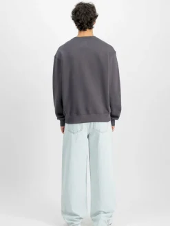 Alpha Industries Sweatshirts & Sweatjacken<Herren Sweatshirt grau bedruckt