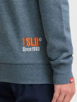 Solid Sweatshirts & Sweatjacken<Herren Sweatshirt - SDBenn grau uni