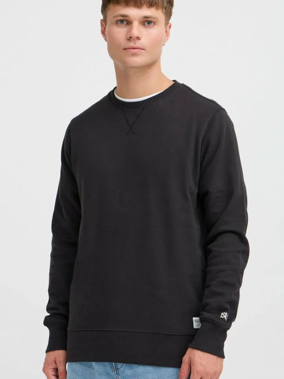 Solid Sweatshirts & Sweatjacken<Herren Sweatshirt - SDCHAD schwarz uni