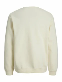 Jack & Jones Junior Jungen>Jungen Pullover